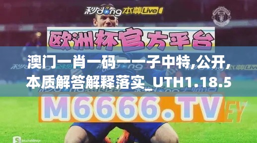 澳门一肖一码一一子中特,公开,本质解答解释落实_UTH1.18.52调整版