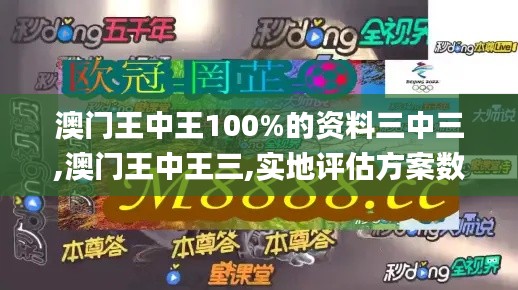 澳门王中王100%的资料三中三,澳门王中王三,实地评估方案数据_AOI7.26.59变革版