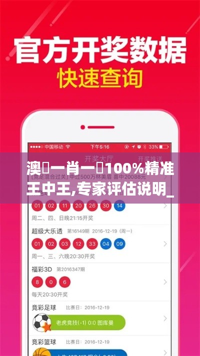 澳門一肖一碼100%精准王中王,专家评估说明_XTY8.27.55付费版