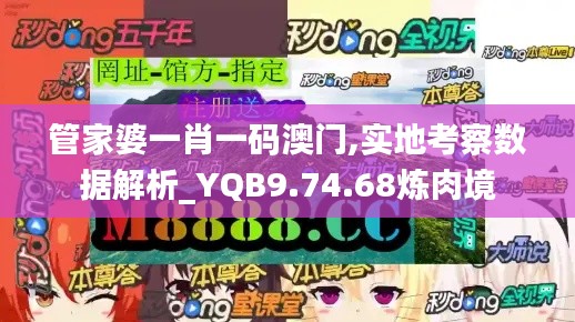 管家婆一肖一码澳门,实地考察数据解析_YQB9.74.68炼肉境