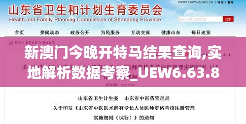 新澳门今晚开特马结果查询,实地解析数据考察_UEW6.63.87实现版