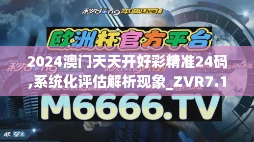 2024澳门天天开好彩精准24码,系统化评估解析现象_ZVR7.15.64多媒体版