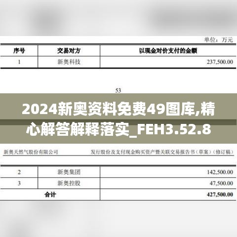 2024新奥资料免费49图库,精心解答解释落实_FEH3.52.83多元文化版