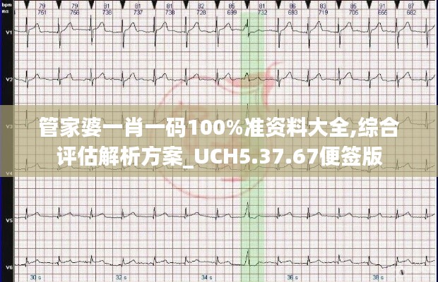 管家婆一肖一码100%准资料大全,综合评估解析方案_UCH5.37.67便签版