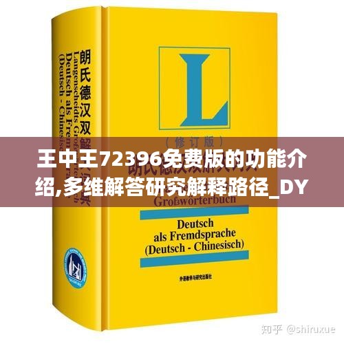 王中王72396免费版的功能介绍,多维解答研究解释路径_DYQ1.75.36融合版