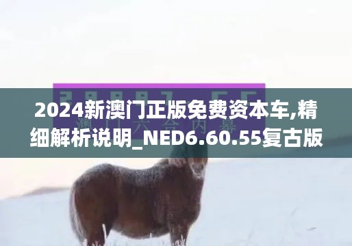 2024新澳门正版免费资本车,精细解析说明_NED6.60.55复古版