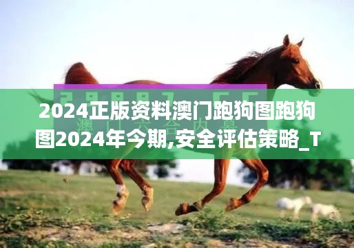 2024正版资料澳门跑狗图跑狗图2024年今期,安全评估策略_TRD9.16.90活现版