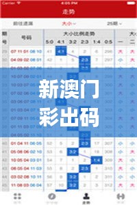 新澳门彩出码综合走势图表大全,快捷问题计划设计_MMR9.68.89终身版