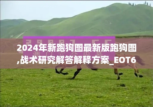 2024年新跑狗图最新版跑狗图,战术研究解答解释方案_EOT6.74.57手游版