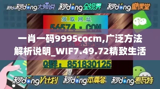 一肖一码9995cocm,广泛方法解析说明_WIF7.49.72精致生活版