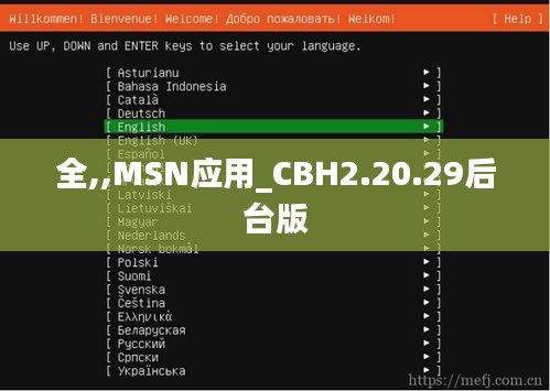 全,,MSN应用_CBH2.20.29后台版