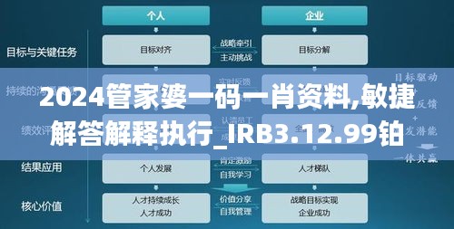 2024管家婆一码一肖资料,敏捷解答解释执行_IRB3.12.99铂金版