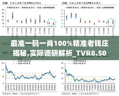 最准一码一肖100%精准老钱庄揭秘,实际调研解析_TVR8.50.31改制版