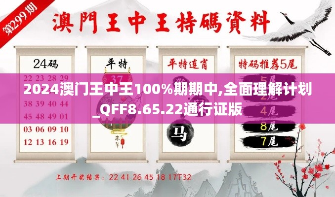 2024澳门王中王100%期期中,全面理解计划_QFF8.65.22通行证版