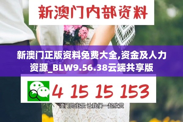 新澳门正版资料免费大全,资金及人力资源_BLW9.56.38云端共享版