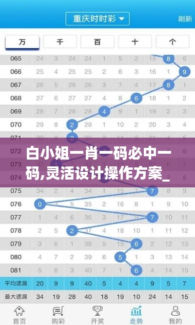 白小姐一肖一码必中一码,灵活设计操作方案_GHL6.65.21全景版