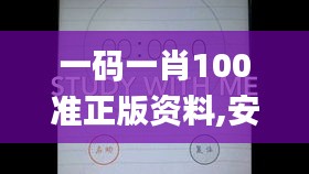 一码一肖100准正版资料,安全设计解析说明法_SUE6.34.30国际版