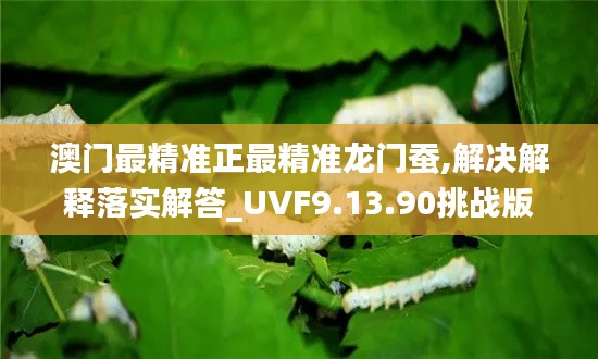 澳门最精准正最精准龙门蚕,解决解释落实解答_UVF9.13.90挑战版