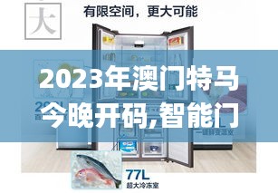 2023年澳门特马今晚开码,智能门禁方案_SYJ8.39.68流线型版