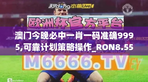 澳门今晚必中一肖一码准确9995,可靠计划策略操作_RON8.55.83七天版