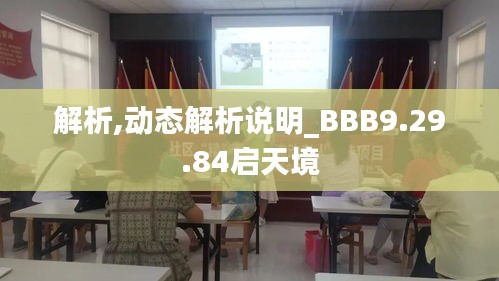 解析,动态解析说明_BBB9.29.84启天境