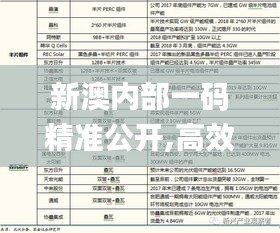 新澳内部一码精准公开,高效管理优化执行_PGE9.20.81远光版