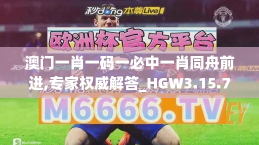 澳门一肖一码一必中一肖同舟前进,专家权威解答_HGW3.15.72随行版