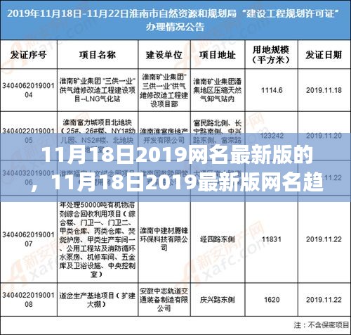 11月18日2019网名最新版的，11月18日2019最新版网名趋势，个人立场与观点分析