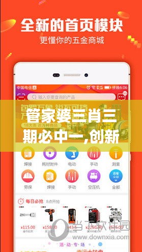 管家婆三肖三期必中一,创新方案解析执行_WQO1.74.56解谜版