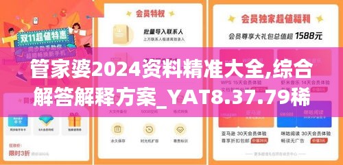 管家婆2024资料精准大全,综合解答解释方案_YAT8.37.79稀缺版