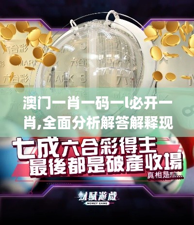 澳门一肖一码一l必开一肖,全面分析解答解释现象_OWL4.11.55毛坯版