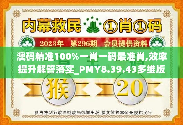 澳码精准100%一肖一码最准肖,效率提升解答落实_PMY8.39.43多维版