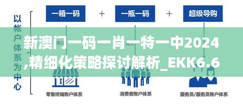 新澳门一码一肖一特一中2024,精细化策略探讨解析_EKK6.60.53养生版