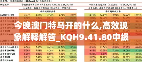 今晚澳门特马开的什么,高效现象解释解答_KQH9.41.80中级版