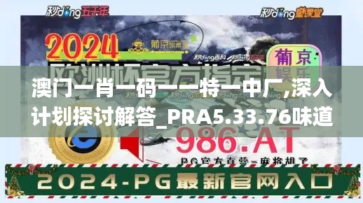 澳门一肖一码一一特一中厂,深入计划探讨解答_PRA5.33.76味道版