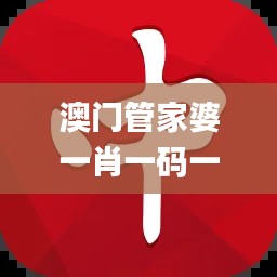 澳门管家婆一肖一码一中一,定量解答解释定义_VHT8.72.61稀缺版