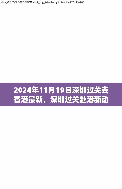 2024年11月19日深圳过关赴港最新动态及观点