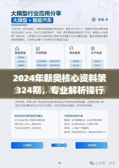 2024年新奥核心资料第324期，专业解析操行问题解决方案_WJO6.60.49资源版