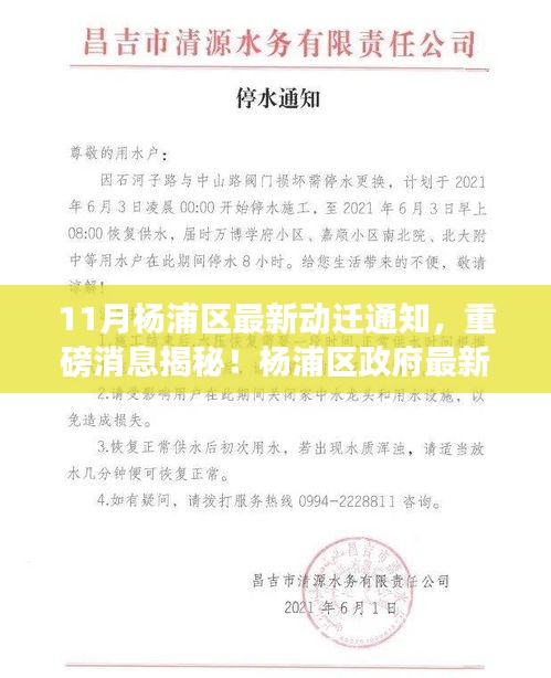 杨浦区政府最新动迁通知，揭秘十一月动迁计划