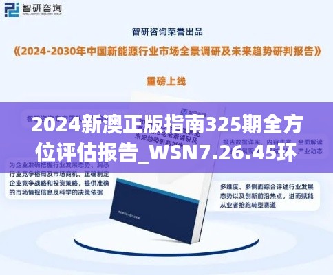 2024新澳正版指南325期全方位评估报告_WSN7.26.45环保版