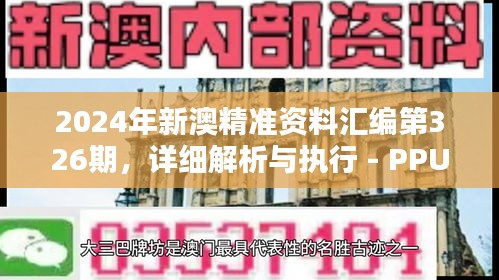 2024年新澳精准资料汇编第326期，详细解析与执行 - PPU6.53.91魔力版