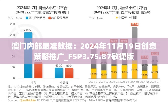 澳门内部最准数据：2024年11月19日创意策略推广_FSP3.75.87敏捷版