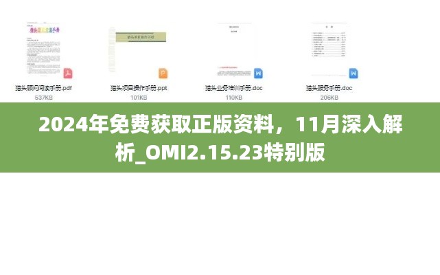 2024年免费获取正版资料，11月深入解析_OMI2.15.23特别版