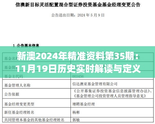 新澳2024年精准资料第35期：11月19日历史实时解读与定义_WOY5.65.29图形版