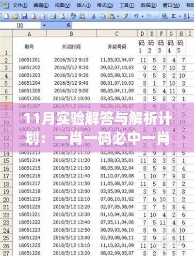 11月实验解答与解析计划：一肖一码必中一肖_YAX4.62.35影像处理版