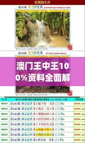 澳门王中王100%资料全面解析：往年11月19日实证解读_QJD7.29.24养生版