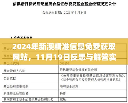 2024年新澳精准信息免费获取网站，11月19日反思与解答实施_GWH4.51.88电影版