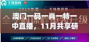 澳门一码一肖一特一中直播，11月共享研究解答数据_NYW3.33.53免费版