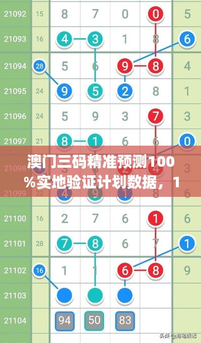 澳门三码精准预测100%实地验证计划数据，11月19日_BQH8.52.60复古版