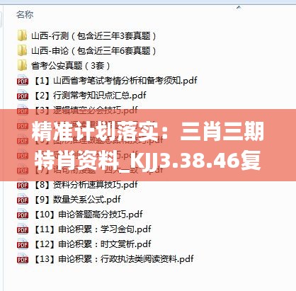 精准计划落实：三肖三期特肖资料_KJJ3.38.46复古版